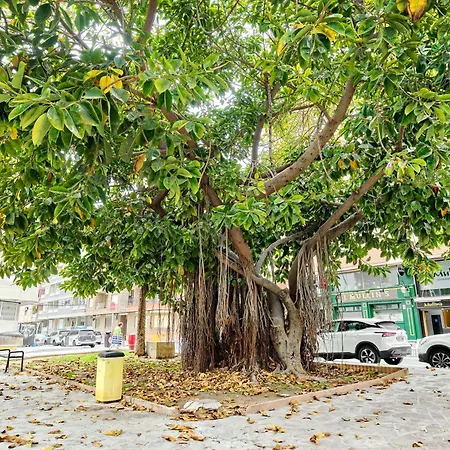 Penthouse Louis Торевьиа