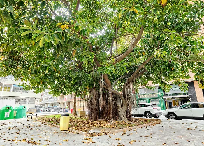 Penthouse Louis Torrevieja